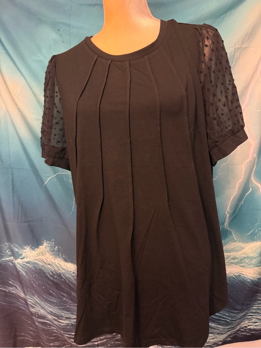 Grace Black Pleated Front Tee with Sheer Dot Sleeves